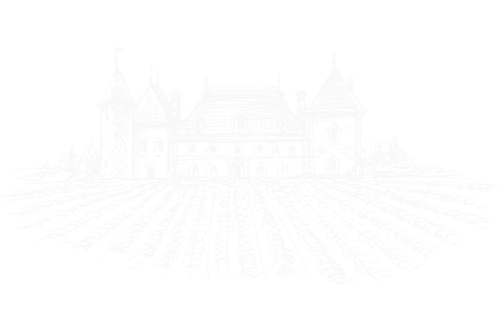 Château Haut Maurin